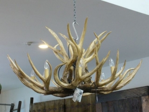 Image of Antler 8-Light Chandelier