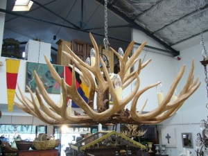 Image of Antler 10-Light Chandelier